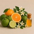 (отдушка) Нероли и бергамот 10181 FLX